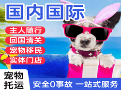 萨尔图空运代理国际宠物托运 【国